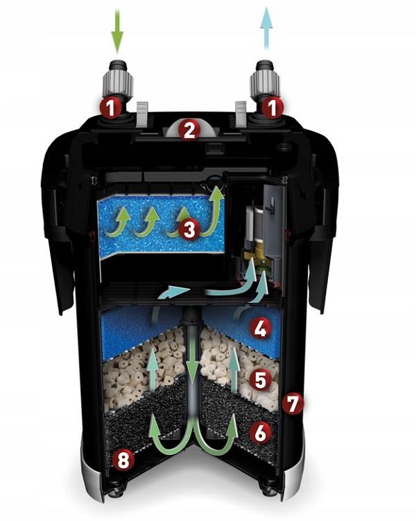 Comment choisir le filtre de son aquarium d’eau douce